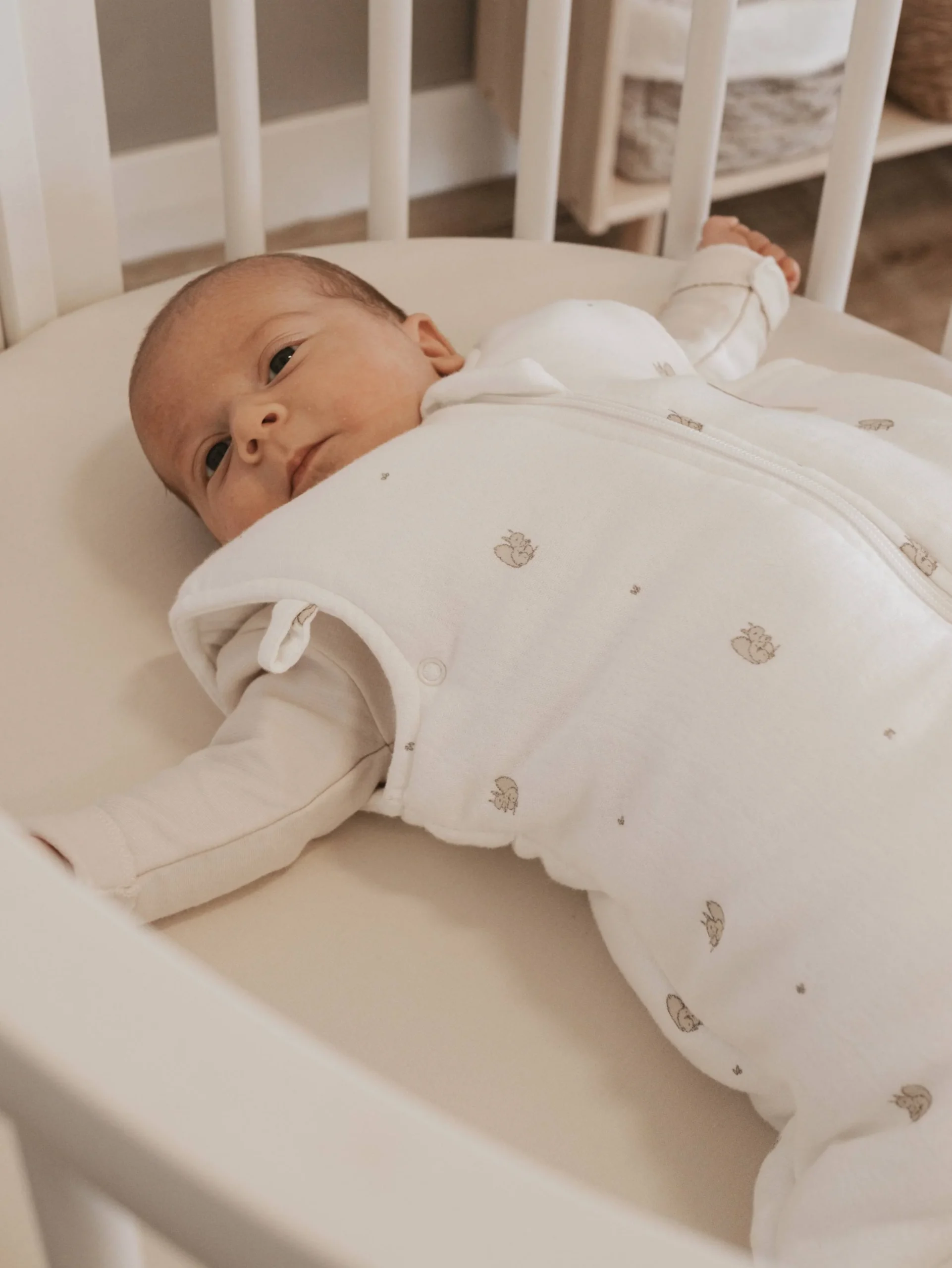 Sacco neonato 0-6M Tog 2.2 - PRINT SQUIRREL 344 Bamboom - immagine 4